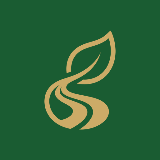 Areas We Serve: Hamilton & Waikato Senior Transport | Gentle Journey